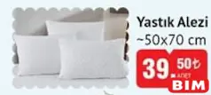 YASTIK ALEZİ 50X70 CM